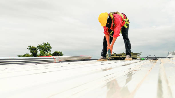 Best Gutter Installation and Repair  in Baraga, MI