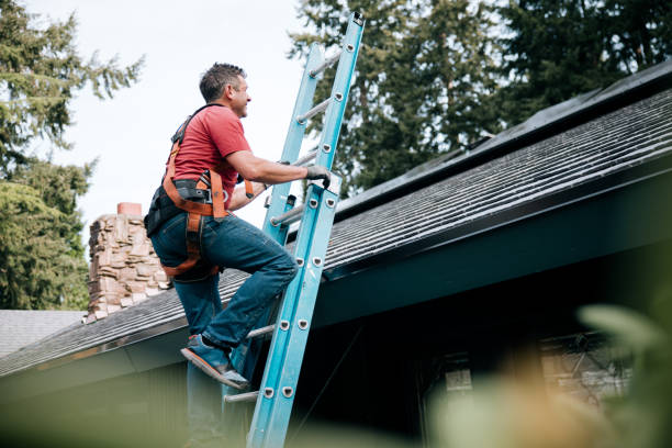 Best Green or Eco-Friendly Roofing Solutions  in Baraga, MI
