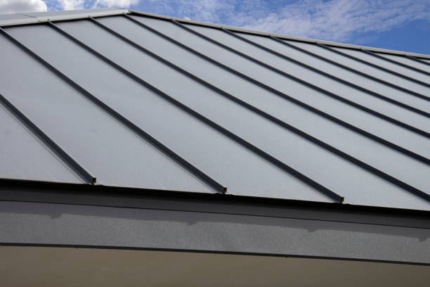 Best Steel Roofing  in Baraga, MI